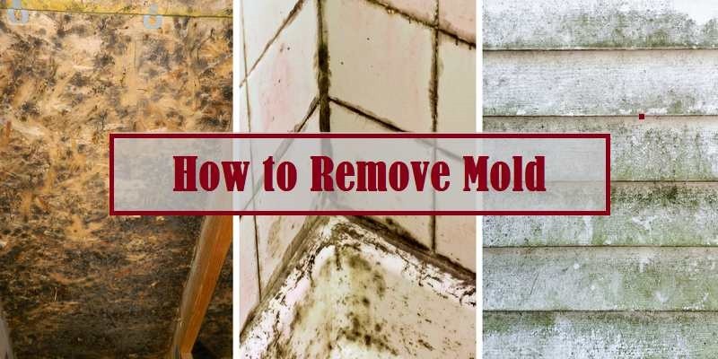 How-to-Remove-Mold