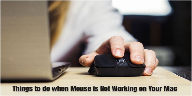 Things to Do When Mouse is Not Working on Your Mac