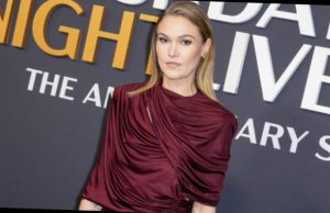 what happened to julia stiles