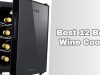 best 12 bottle wine coolers