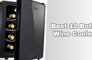 best 12 bottle wine coolers