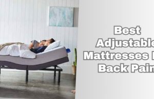 best adjustable mattresses for back pain