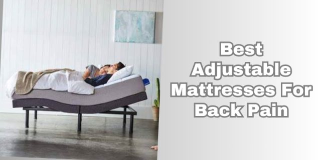 best adjustable mattresses for back pain