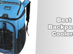 best backpack coolers