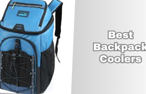 best backpack coolers