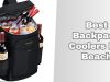 best backpack coolers for beach