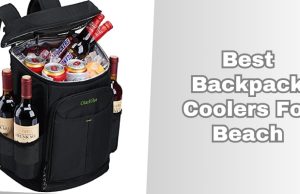 best backpack coolers for beach
