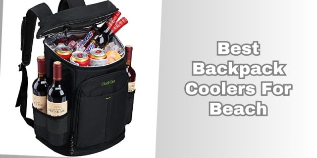 best backpack coolers for beach