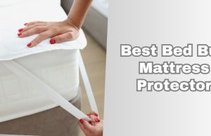 best bed bug mattress protector