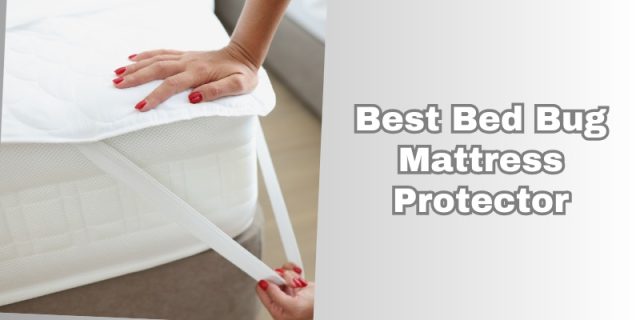best bed bug mattress protector
