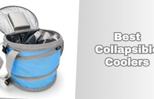 best collapsible coolers
