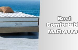 best comfortable mattresses
