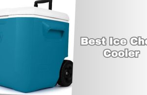best ice chest cooler