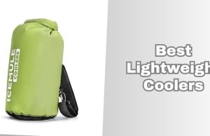 best lightweight coolers