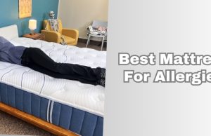 best mattress for allergies