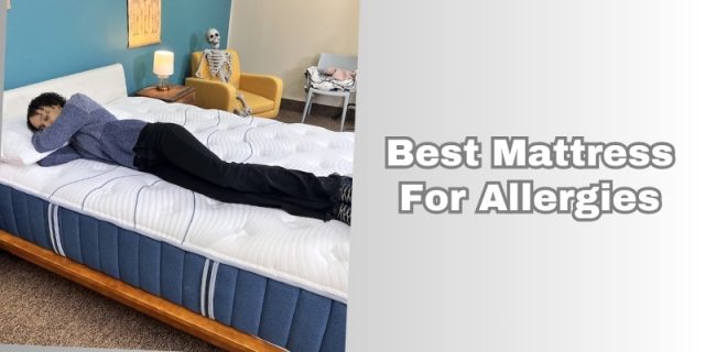 best mattress for allergies
