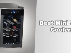best mini wine coolers