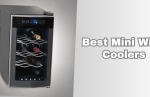 best mini wine coolers