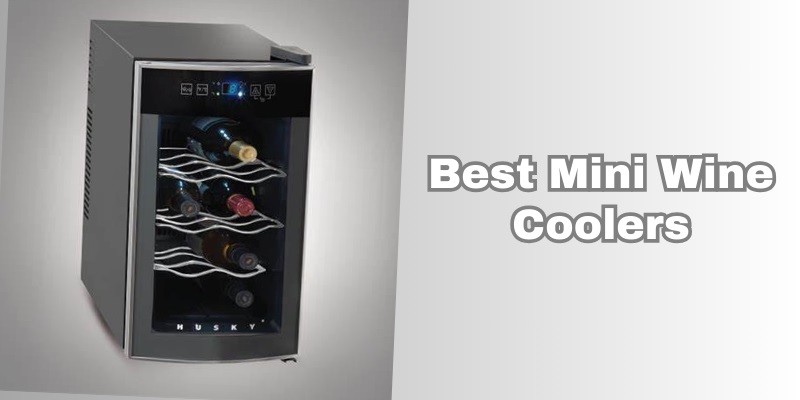 best mini wine coolers