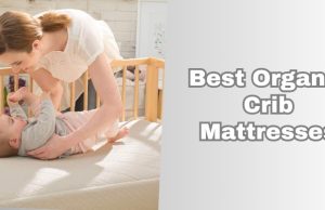 best organic crib mattresses