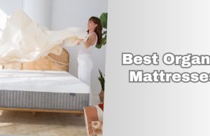 best organic mattresses