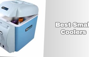 best small coolers