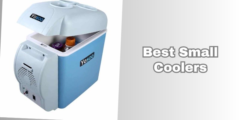 best small coolers