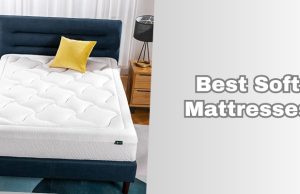 best soft mattresses