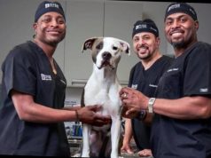what happened to dr ross on the vet life