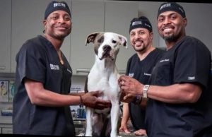 what happened to dr ross on the vet life