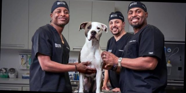 what happened to dr ross on the vet life