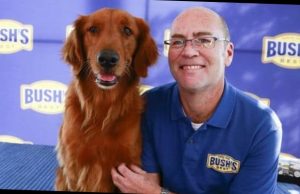 what happened to jay bush from bush beans