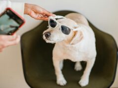 Top Medium.com Trending Posts This Week