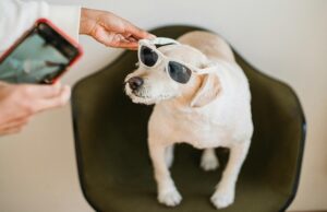 Top Medium.com Trending Posts This Week