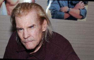 what happened to jan-michael vincent eye