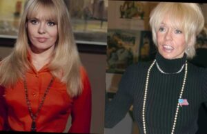 What Happened To Joey Heatherton? Uncovering Her Mysterious Journey