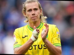 What Happened To Todd Cantwell? Shocking Career Update Revealed what happened to todd cantwell