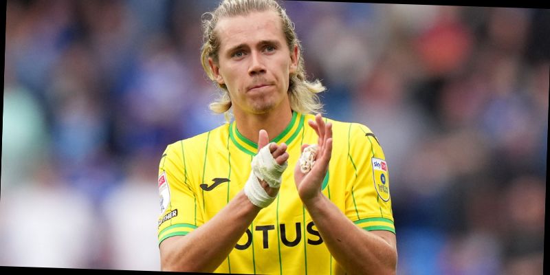 what happened to todd cantwell