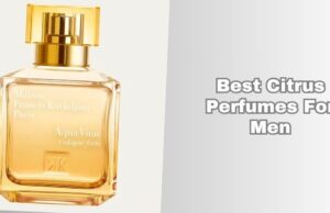 best citrus perfumes for men
