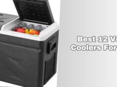best 12 volt coolers for car