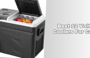 best 12 volt coolers for car