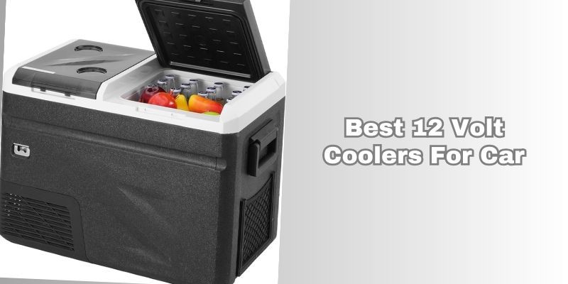 best 12 volt coolers for car