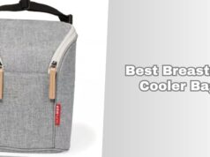 best breastmilk cooler bags