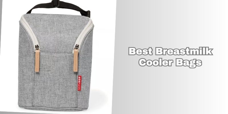 best breastmilk cooler bags