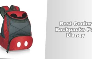 best cooler backpacks for disney