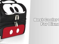 best cooler bags for disney