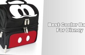 Our 10 Best Cooler Bags For Disney 2026: Top Picks best cooler bags for disney