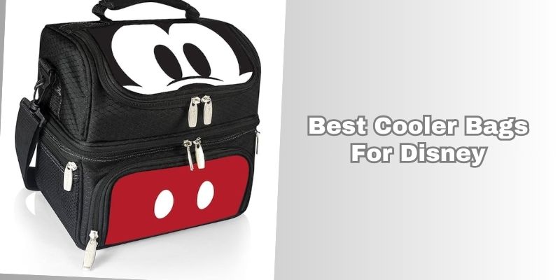 best cooler bags for disney