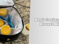 10 Best Coolers For Breast Milk – Top Picks Of 2026 best coolers for breast milk