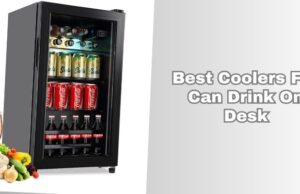 Top 10 Best Coolers For Can Drink On Desk Of 2026, Tested by Experts best coolers for can drink on desk